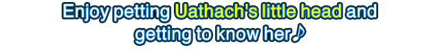 Enjoy petting Uathach's little head and getting to know her!